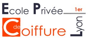 Ecole new orange Logo école transparent