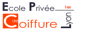 logo-ecole-privee-lyon-petit