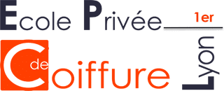 logo-ecole-privee-lyon